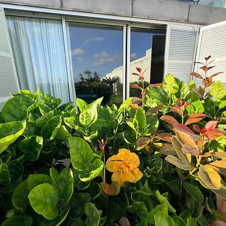 Lejlighed Marina Mar Ii Apartmento T3 Fr B *